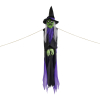 Haunted Hill Farm HHWITCH-39HLS - 8